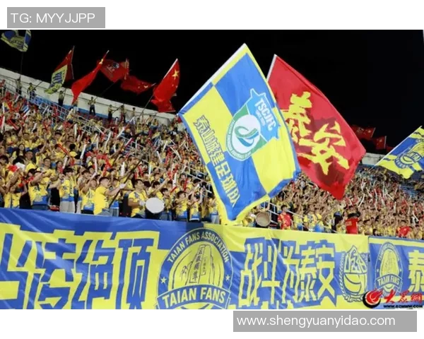 天津足球比赛热潮再起球迷激情四溢共庆盛事