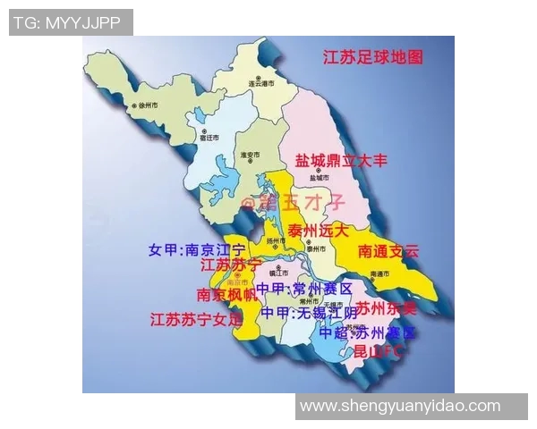 沈阳足球的崛起与发展历程探讨及未来展望